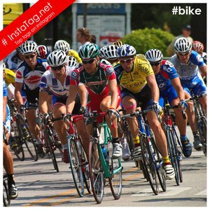 bicycle tags