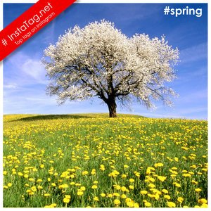 Spring tags
