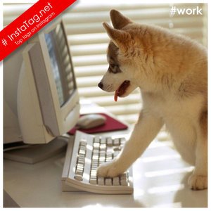 Work tags
